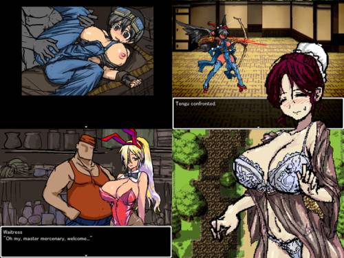 Обложка игры The Mercenary's Adventure [Takamakuran]
