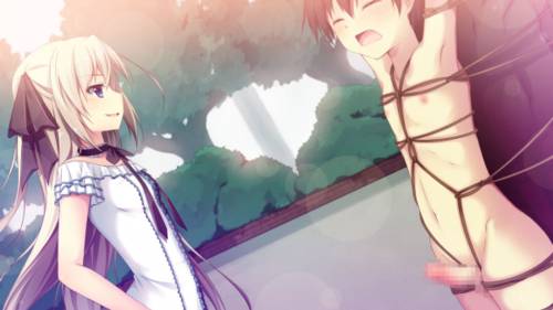 Обложка игры Hisaki Ojou-sama to Shitsuji na Boku [MAXAL]