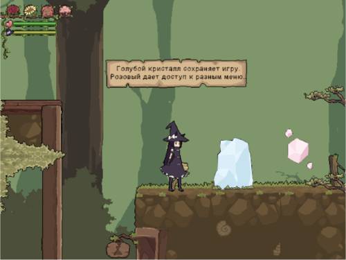 Обложка игры Flower Witch [Misinkoujou]